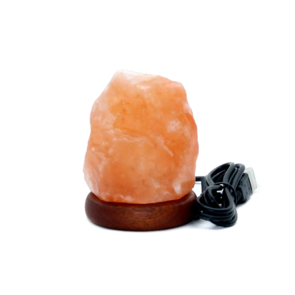 USB Natural Lamp